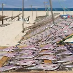 Casa De Betty Daire Nazaré