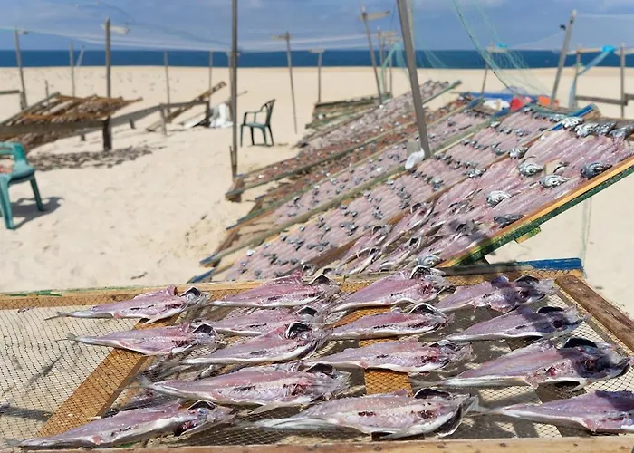 Casa De Betty Daire Nazaré